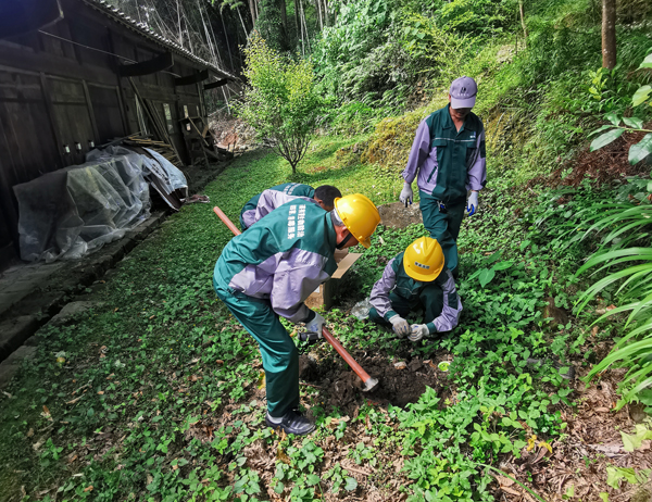 古建筑白蟻防治案例