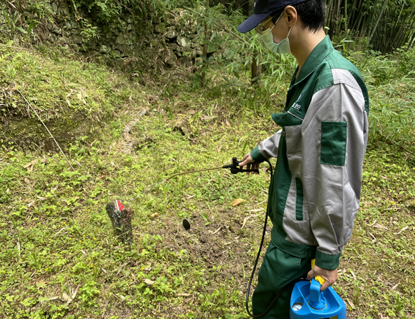 古建筑白蟻防治案例