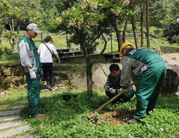 古建筑白蟻防治