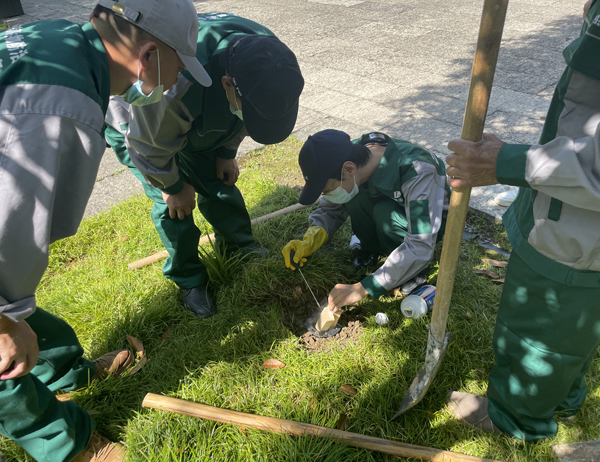 古建筑白蟻防治案例