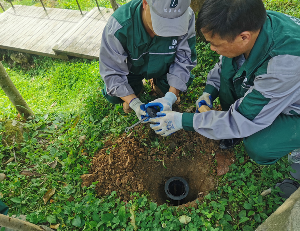 古建筑白蟻防治案例